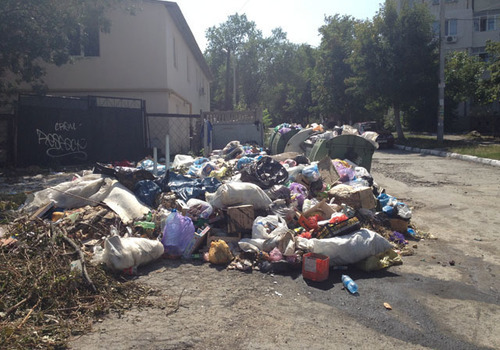 В Симферополе может появиться "народный мусорный надзор"
