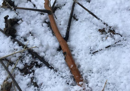 Первый снег выпал в Керчи ФОТО