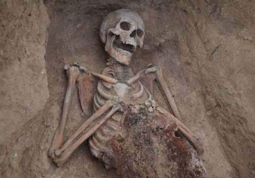 Под «Тавридой» в Крыму нашли сотни скелетов ФОТО
