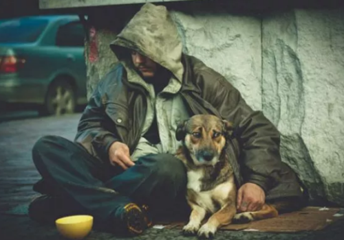 Севастопольских бездомных вывезут в село