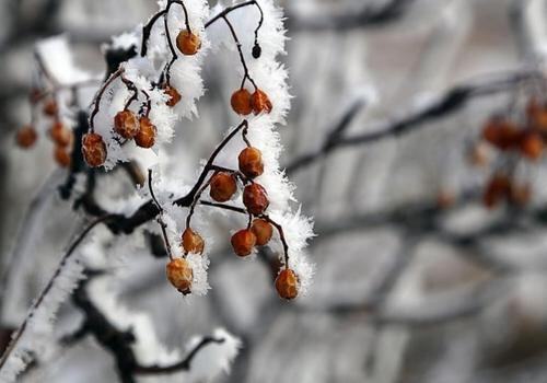 Севастопольцев ждет теплый декабрь и январь, но холодный февраль