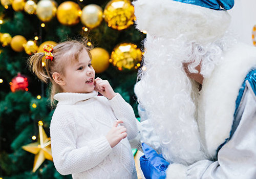 Через дверь или в окно: сколько стоит Дед Мороз в Крыму