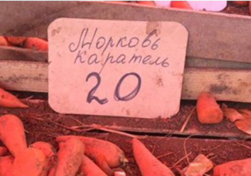 В Крыму продают морковь-"каратель" ФОТОФАКТ