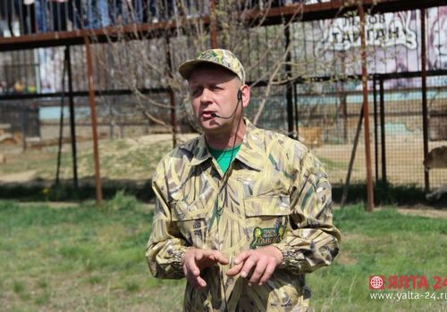 Зубков рассказал, что его проект по созданию мега-зоопарка в Турции заглох
