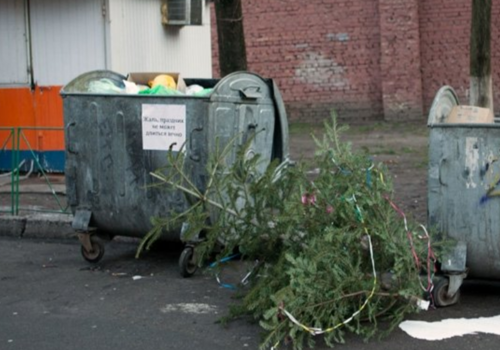 Севастопольцы забили мусоропроводы домов новогодними елками