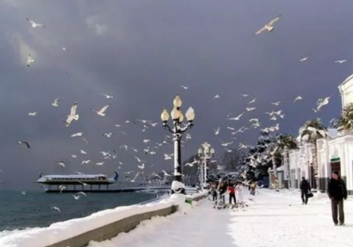 Синоптики рассказали, как долго в Крыму продержится холодная погода