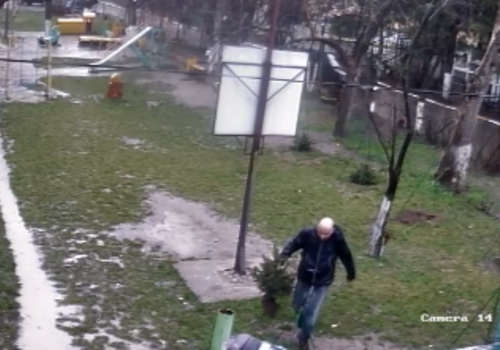 В Симферополе ищут женщину и мужчину, которые в парке вырвали елку с корнями и сбежали ВИДЕО