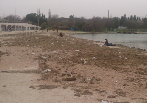 Пляж «Омега» утопает в мусоре и водорослях (ФОТО)