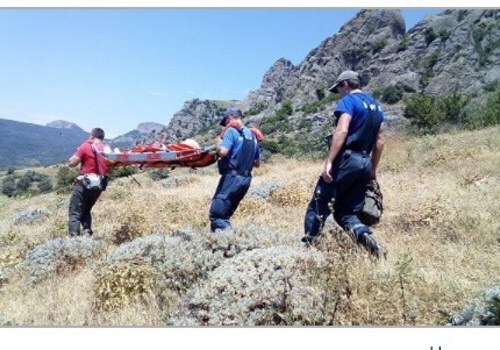 Туристку забрали в больницу после укуса осы в Крымских горах ФОТО
