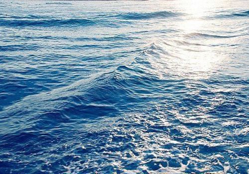 Синоптики прогнозируют резкое похолодание морской воды у берегов Крыма