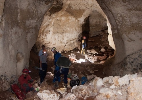 На стройке «Тавриды» в Крыму найдена пещера с останками мамонтов