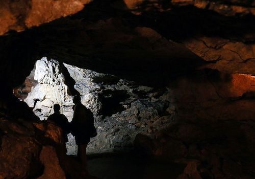 В крымской пещере нашли останки древней саблезубой кошки