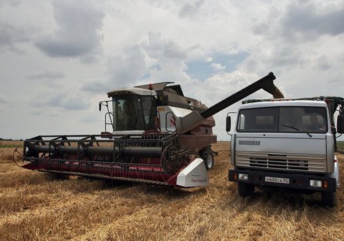Крым потерял часть урожая