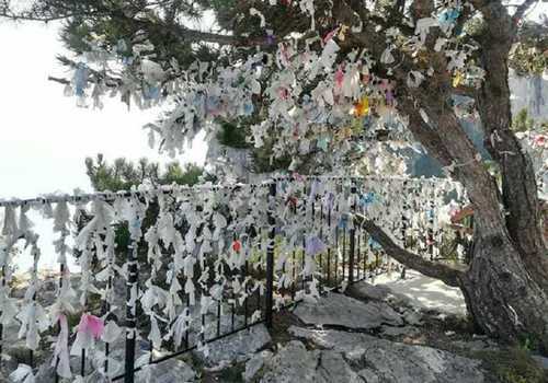 Жители Крыма в ужасе от лохмотьев на «деревьях счастья»