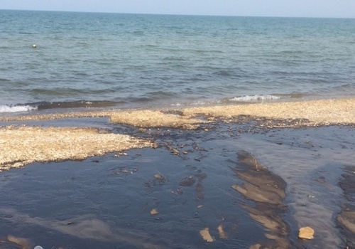 Пляжи под Бахчисараем снова затопило нечистотами