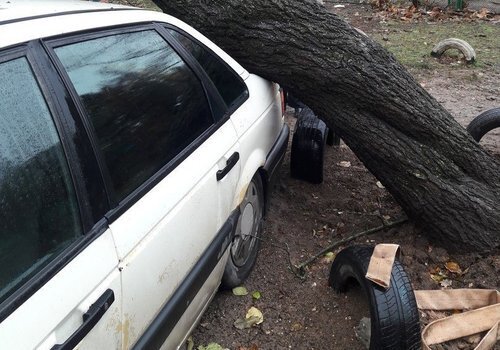 В Симферополе дерево «прилегло» на машины