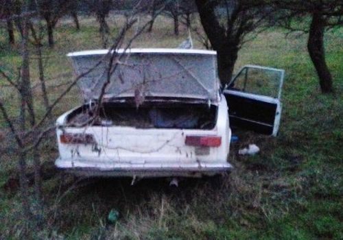 В Крыму ВАЗ слетел с трассы и врезался в дерево ФОТО