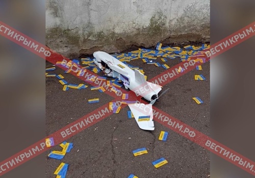 В столице Крыма упал беспилотник с проукраинскими листовками ФОТО