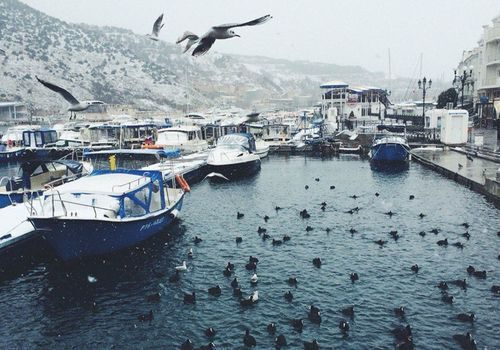 Какая погода будет в Крыму на Старый Новый год и Крещение