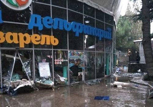 Затопило паркинг, выбило стекла: Масштабное разрушение в дельфинарии Алушты ФОТО