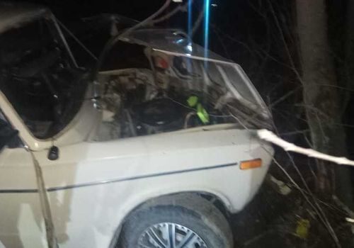 В Крыму ВАЗ слетел с трассы и протаранил дерево - пострадали два человека ФОТО