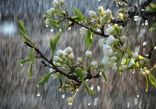 Ветер, дождь и "майское" тепло: какими будут выходные в Крыму и Севастополе ПРОГНОЗ ПОГОДЫ