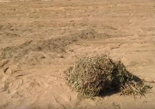 Дорогу под Феодосией заносит песком из-за застройки пляжей ВИДЕО