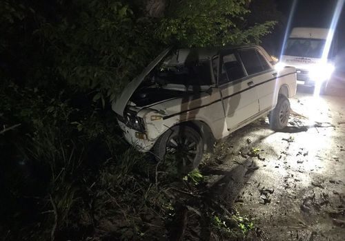 В Крыму из слетевшей в кювет машины сбежал водитель ФОТО