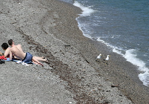 Подзаборники: сколько пляжей в Крыму закрывают доступ туристам к морю ФОТО