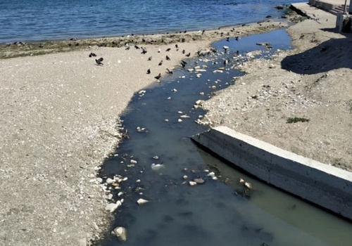 Не столько воняет, сколько глаза ест: жители Феодосии просят закрыть центральный пляж ФОТО