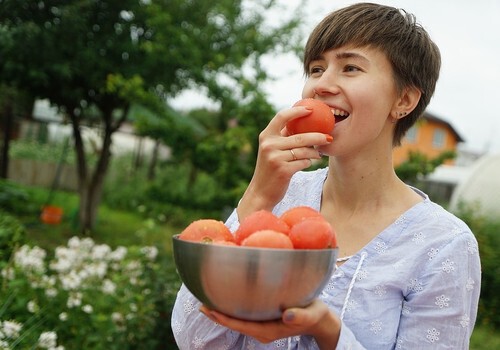 Почему в Крым везут помидоры из Подмосковья и Дагестана