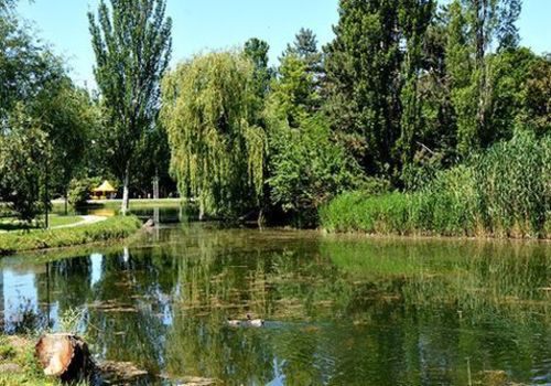 Труп нашли в пруду Гагаринского парка Симферополя
