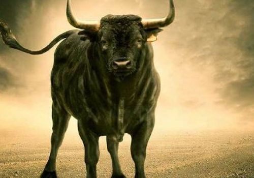 Крымского пастуха убил бык