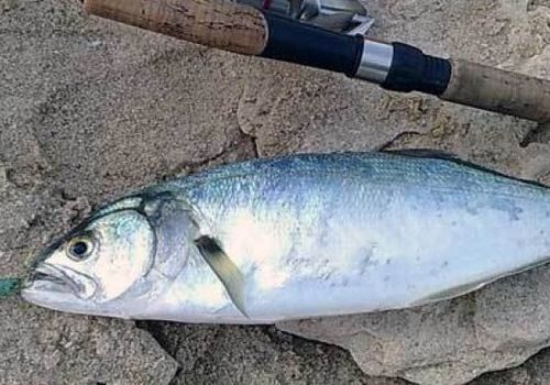 Где в Крыму с ноября запретят рыбалку