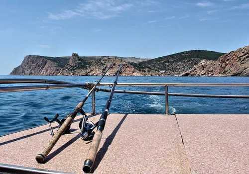В Крыму запретили ловить рыбу зимой