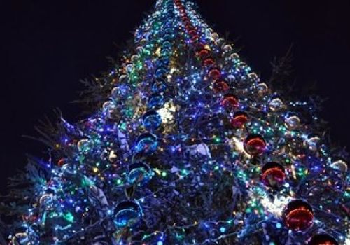 Главную новогоднюю елку Крыма откроют в День святого Николая