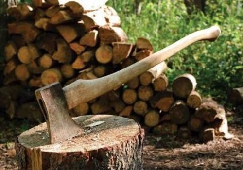 Севастопольская пенсионерка убила сожителя за нежелание колоть дрова