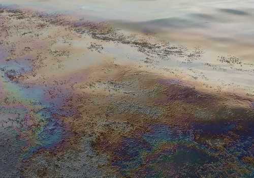 Море у берегов в Керчи превратилось в клоаку с нефтепродуктами ФОТО