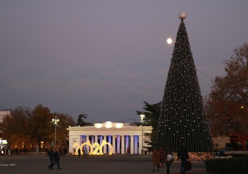 Названа дата открытия главной городской елки в Севастополе