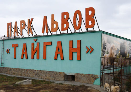 Суд в Крыму принял второе решение о закрытии "Тайгана" на месяц