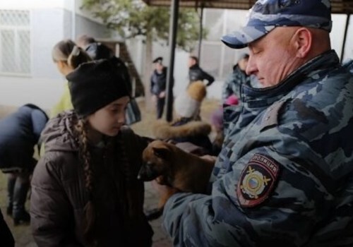 В Крыму 12-летней девочке за лучшее сочинение подарили породистого щенка