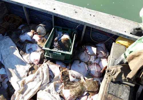 Крымские пограничники задержали украинских браконьеров в Азовском море