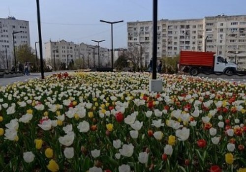 В Севастополе начали закрывать парки в период самоизоляции