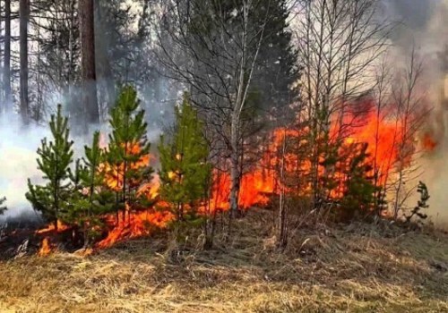 Внимание! В Евпатории и всех западных районах Крыма — высокая пожарная опасность