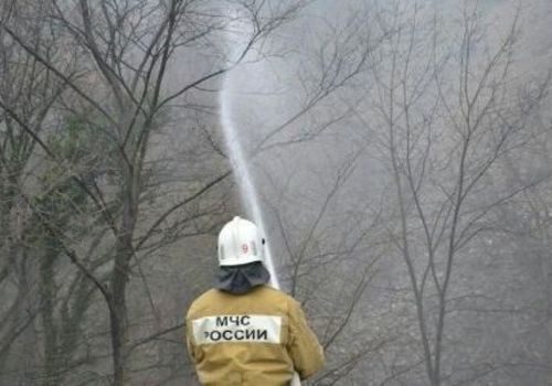 Спасатели локализовали крупный пожар на территории Большой Ялты