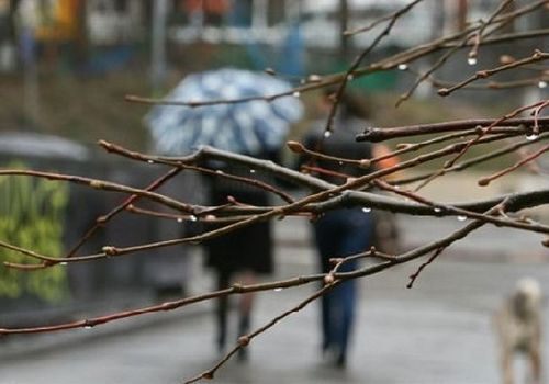 В Крыму прогнозируют аномальное похолодание