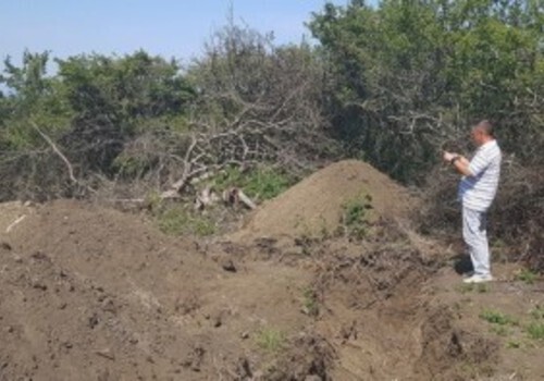 В Крыму нашли вскрытое захоронение времен ВОВ и 26 срубленных деревьев