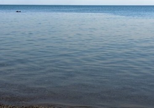 Температура воды Черного моря 30 июля 2020 года: температура воды в Керченском проливе стала прохладнее на 2 градуса