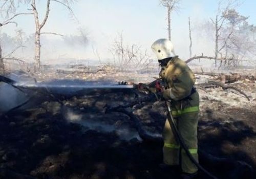 В Севастополе на Фиоленте загорелся лес