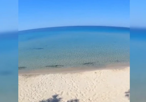 «Это не Мальдивы, это Крым!»: на полуострове обнаружили райский пляж с кристально чистой водой ВИДЕО
